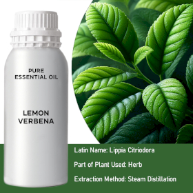 Lemon Verbena Bulk Essential Oil