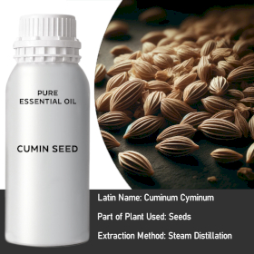 Cumin Seed Bulk Essential Oil