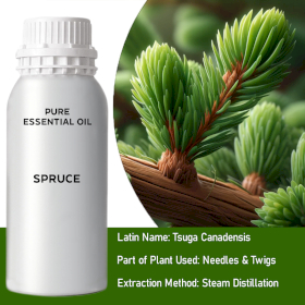 Spruce Bulk Essential Oil