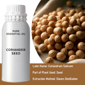Coriander Seed Bulk Essential Oil