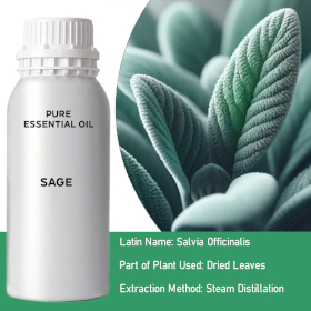 Sage Bulk Essential Oil