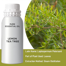 Lemon Tea Tree Bulk Essential Oil