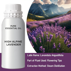 High Alpine Lavender Bulk Essential Oil