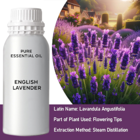 English Lavender Bulk Essential Oil