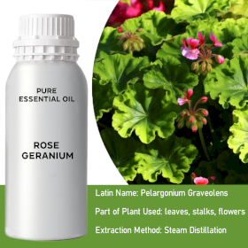 Rose Geranium Bulk Essential Oil