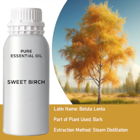 Sweet Birch Bulk Essential Oil