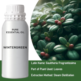 Wintergreen Bulk Essential Oil
