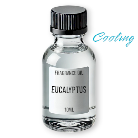 10x Eucalyptus Fragrance Oil 10ml - White Label